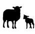 sheep silhouette