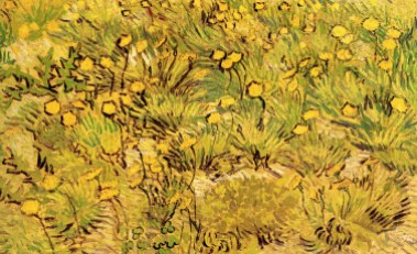 A Field of Yellow Flowers Van Gogh